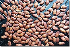 Almonds aerial view